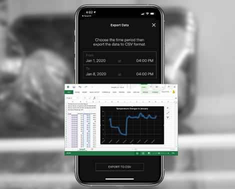 CSV report export